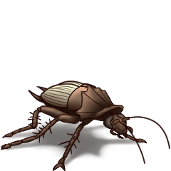 Brace73419838's tweet photo. Well, these two massive insects wouldn't be nice to run into during a midnight trip to the bathroom, that is for sure. At the least, though, you would see one of them before you turned the light on... #fallout #fallout3 #fallout4 #radroach #token #dungeonsanddragons #sfw #art https://t.co/fahZkVw8WC