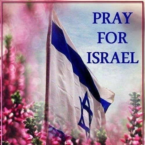 Alma___76___'s tweet image. #PrayforIsrael #PrayforIDF #prayforcaptives #bringthemhome