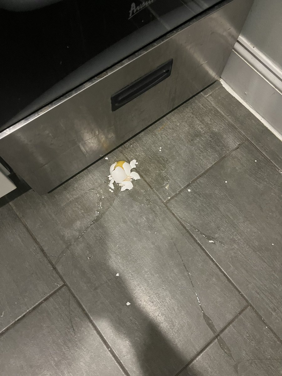 NOOOOOO I had a one-year streak!