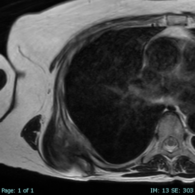 DanGrahamMD tweet picture