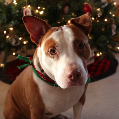 tmb2030's tweet photo. #NewProfilePic https://t.co/CisKsHV9Sn
