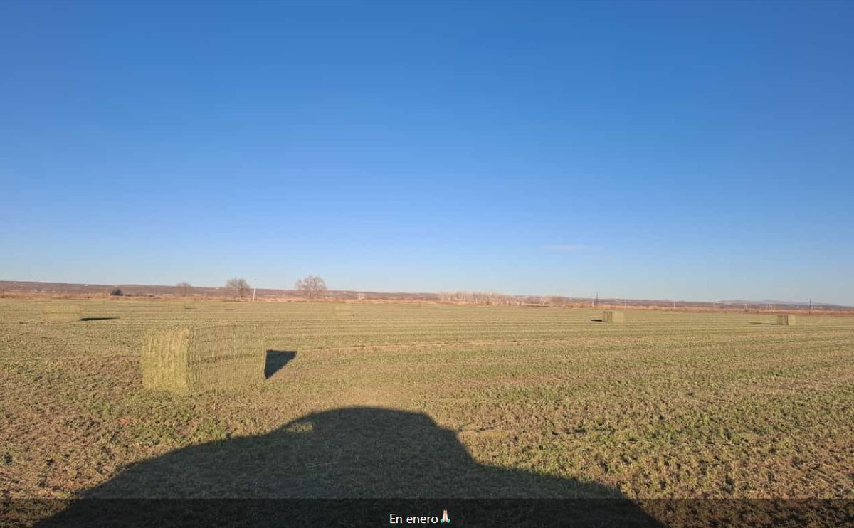 blue_nitrox's tweet image. 