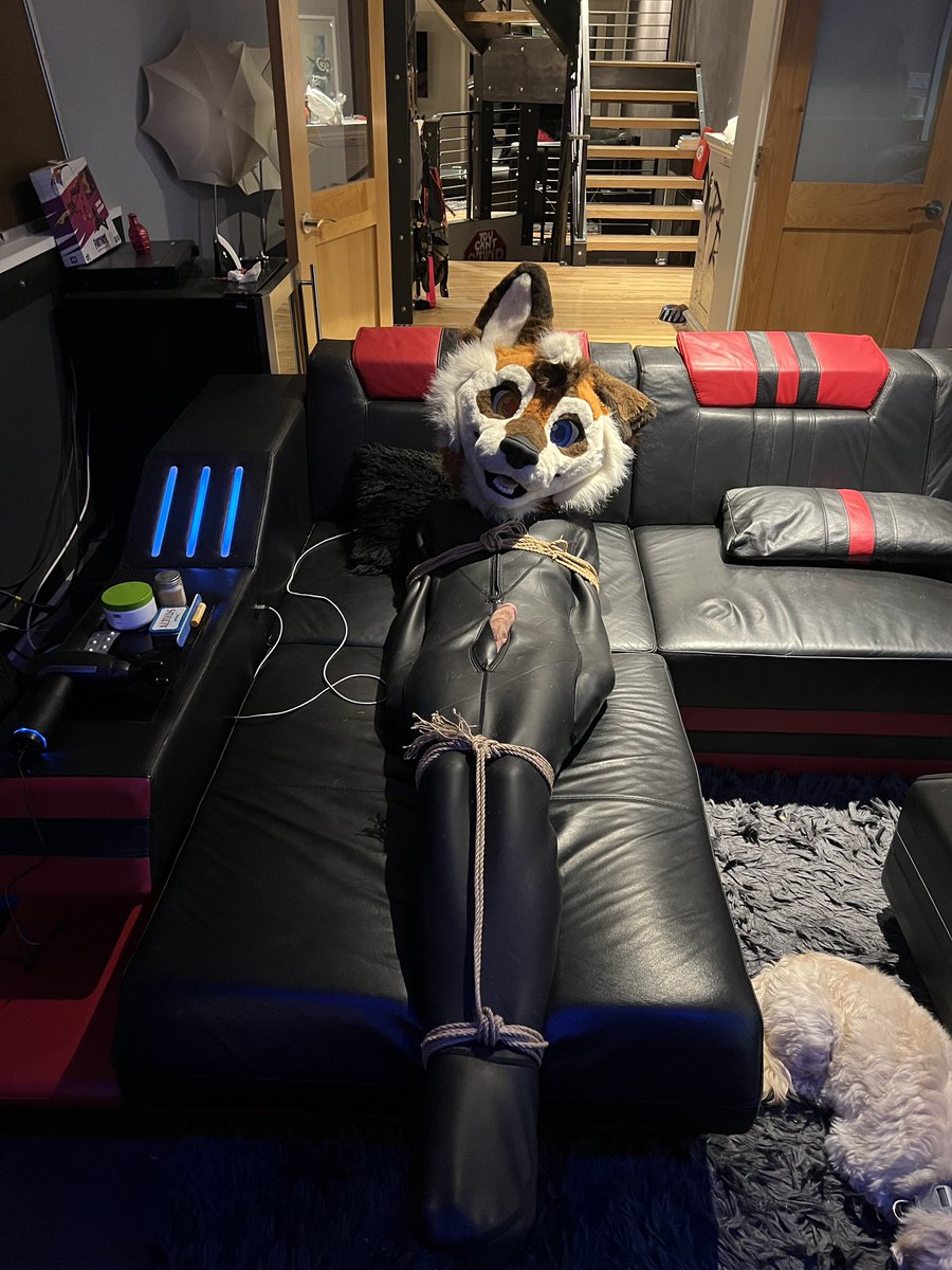 CockMyZombie's tweet photo. I found a @Sillyo_Wusky stuck in my sleepsack. I just added a few ropes and watched as the helpless animal squirmed. https://t.co/yR3QQYi4rq