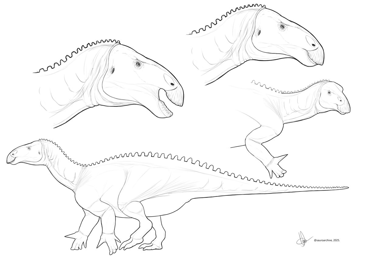 sauroarchive tweet media