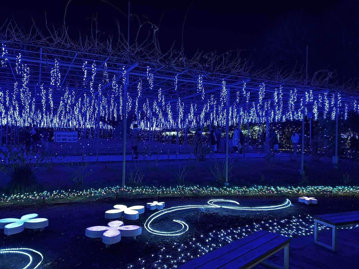 クリスマスに行ったイルミネーション綺麗だったな