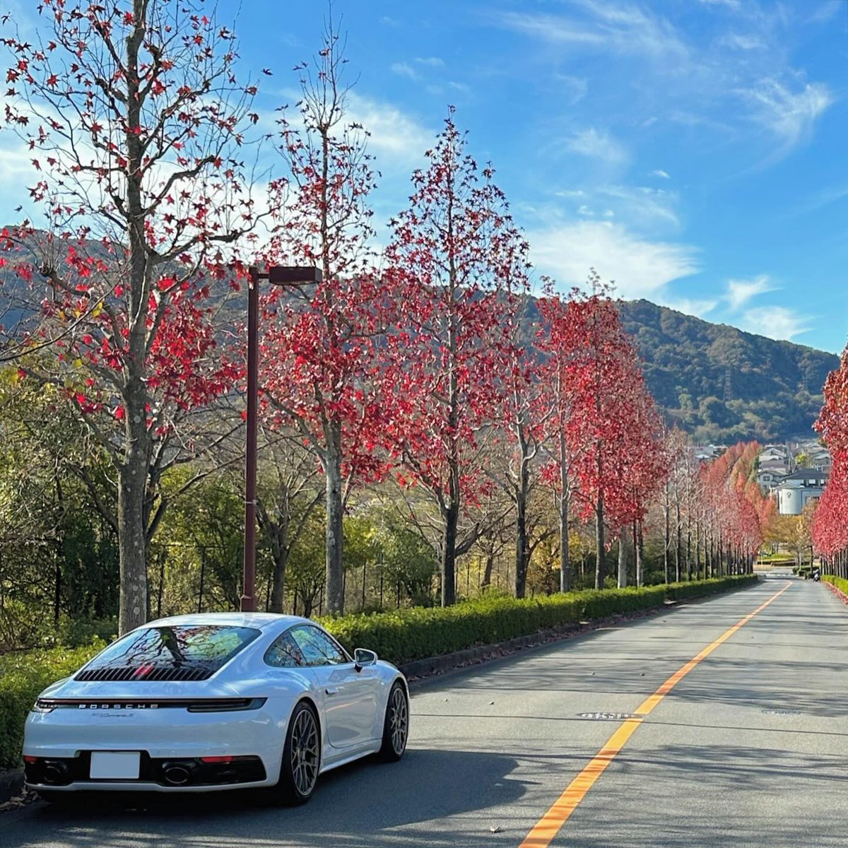 GeaMareo's tweet photo. #porsche #porsche911 #porsche992 #carrera #carreras #911porsche https://t.co/FMWqBh3xLC