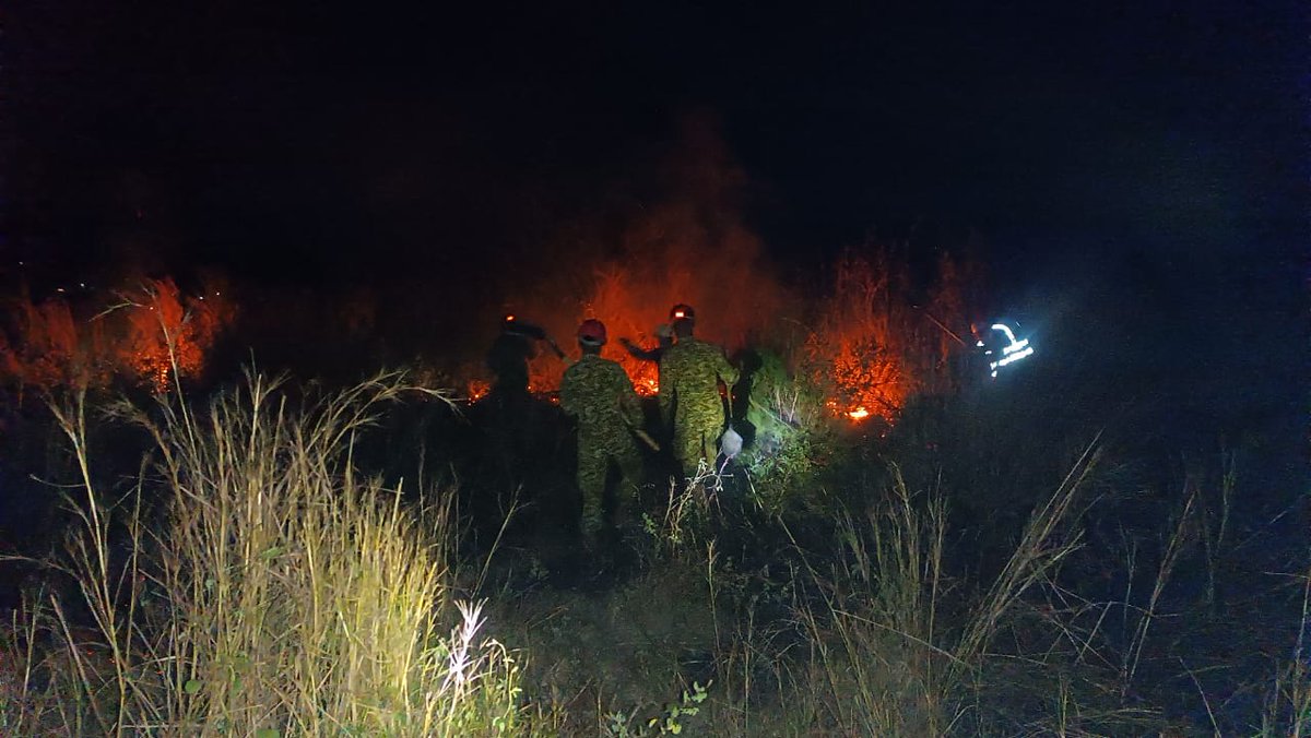 FUERZARMADASV's tweet photo. Once de nuestros elementos, junto a personal de @BomberosSV y @PROCIVILSV, trabajan en la sofocación de un incendio de maleza seca en la comunidad Chilín, Ciudad Arce, La Libertad Centro.
⚠️ No se reportan víctimas ni daños materiales. https://t.co/MvNQ6FUpSG