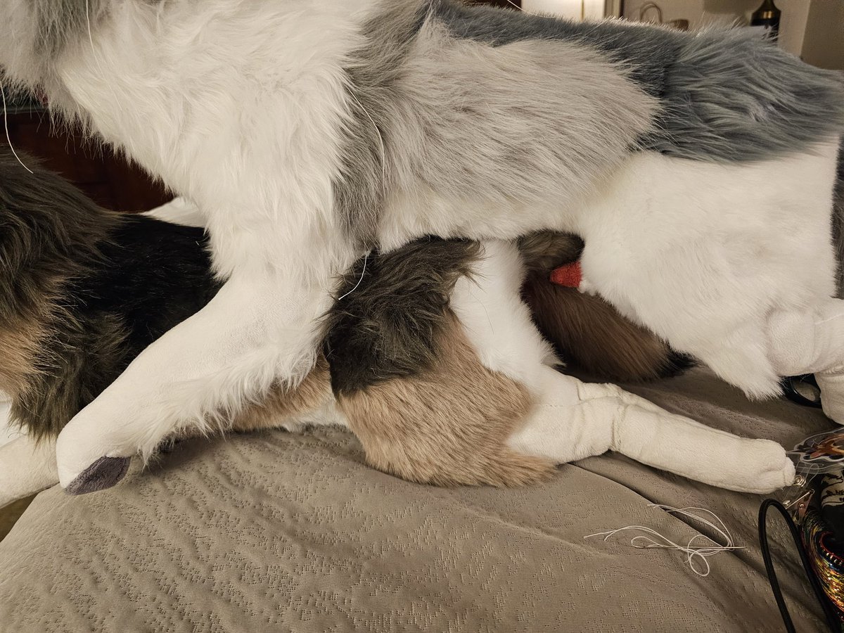 Briar Lupine tweet media