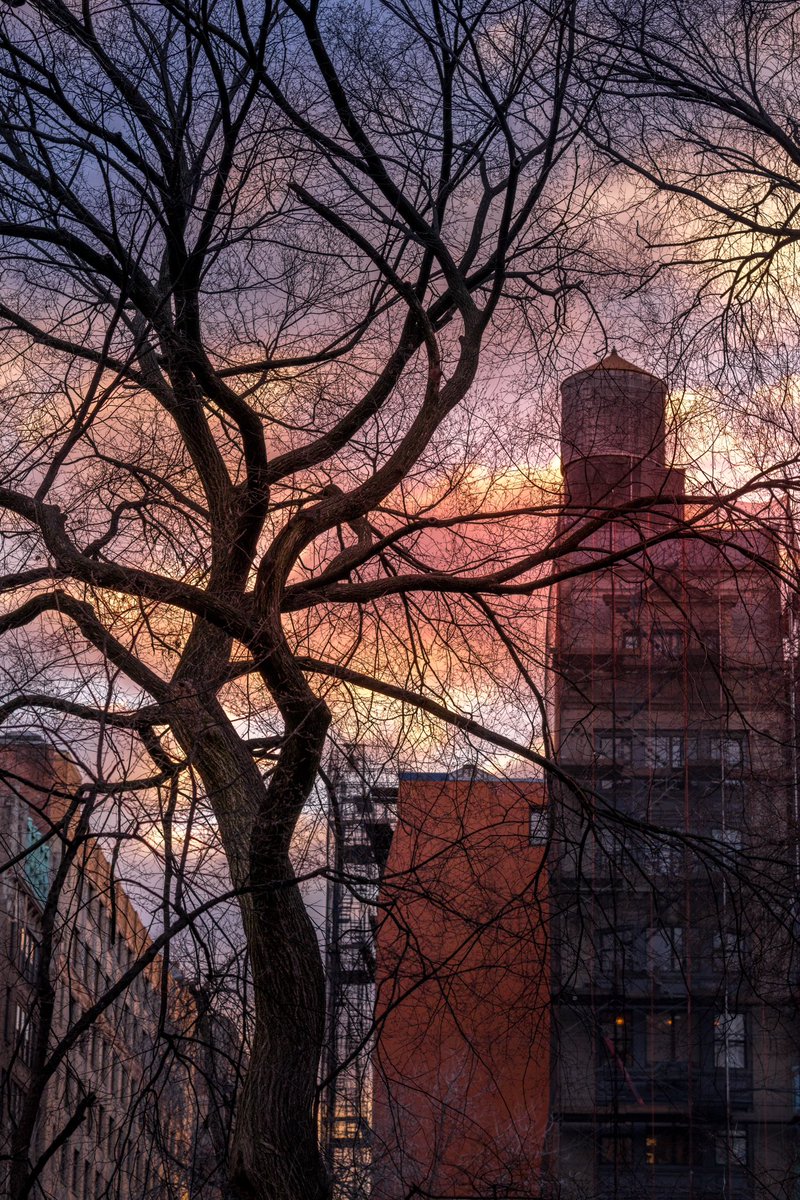 btc_21's tweet image. NYC 

#nycstreet #streetphoto #newyork #nyc #usa