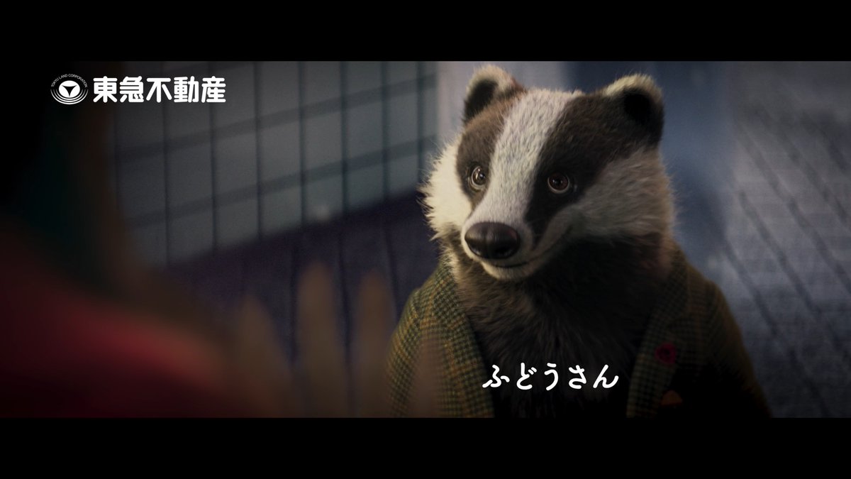 CGStudio_LiNDA's tweet image. 環境に全力TOKYU FUDOSAN 「再エネ」篇
前作に引き続きアナグマのキャラクター“ふどうさん”と青い鳥を制作しました!
勘違いして真っ赤になるふどうさんがとてもキュートです☺️
youtu.be/ap5_RtNMmiY?si…
#スタジオリンダ #linda #studiolinda
#lindazoo #アナグマ #鳥 #badger #bird
#動物CG…