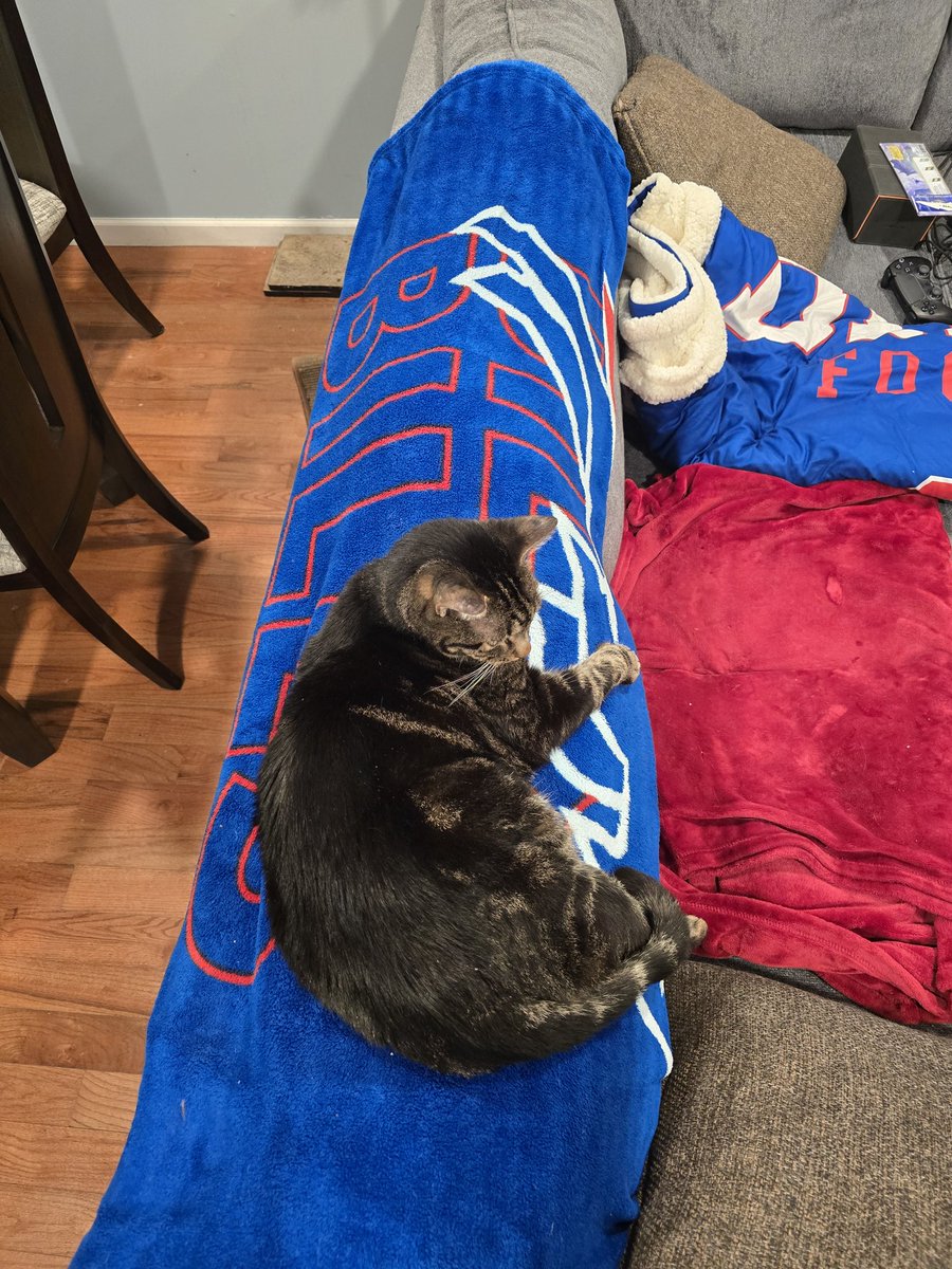 WaitThisIsntMTG's tweet image. Ash says bills win sunday

#gobills #billsmafis