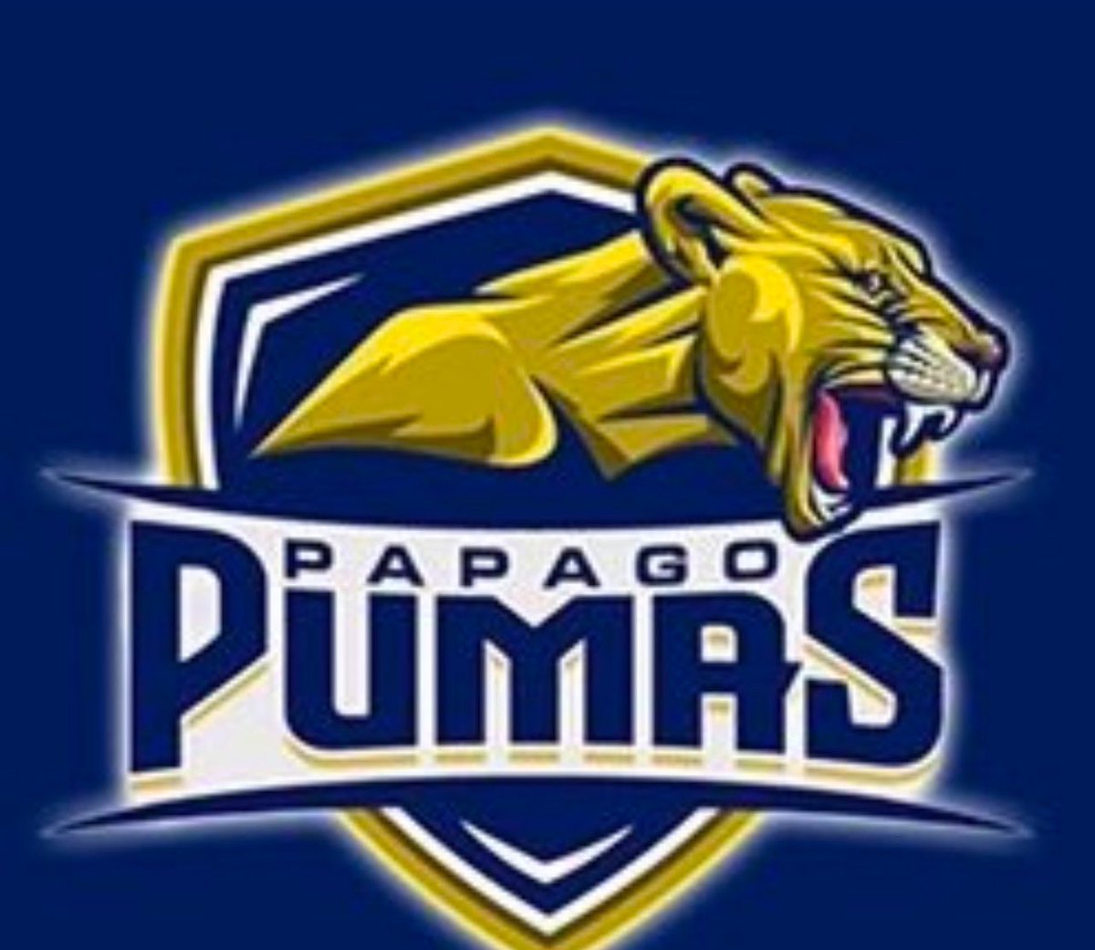 Nathaniel Pitt tweet media