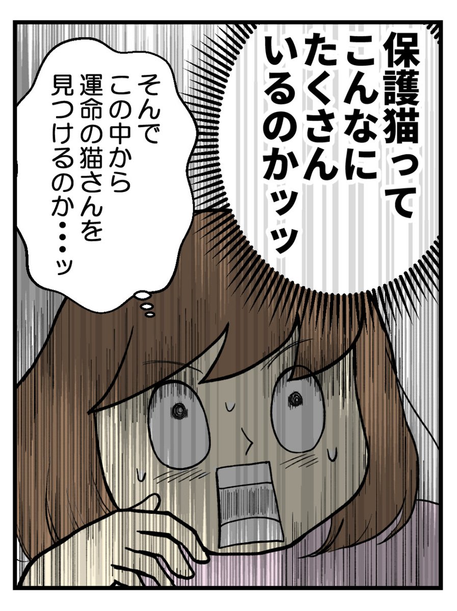 (3/9) 