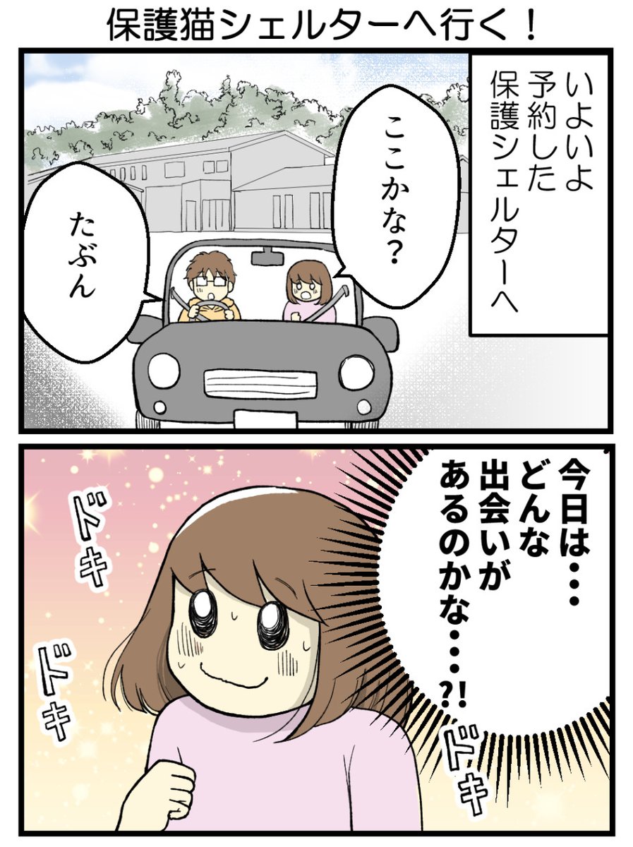 (1/9) 