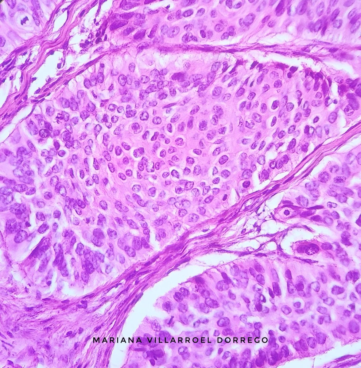 Reportes Villarroel tweet media