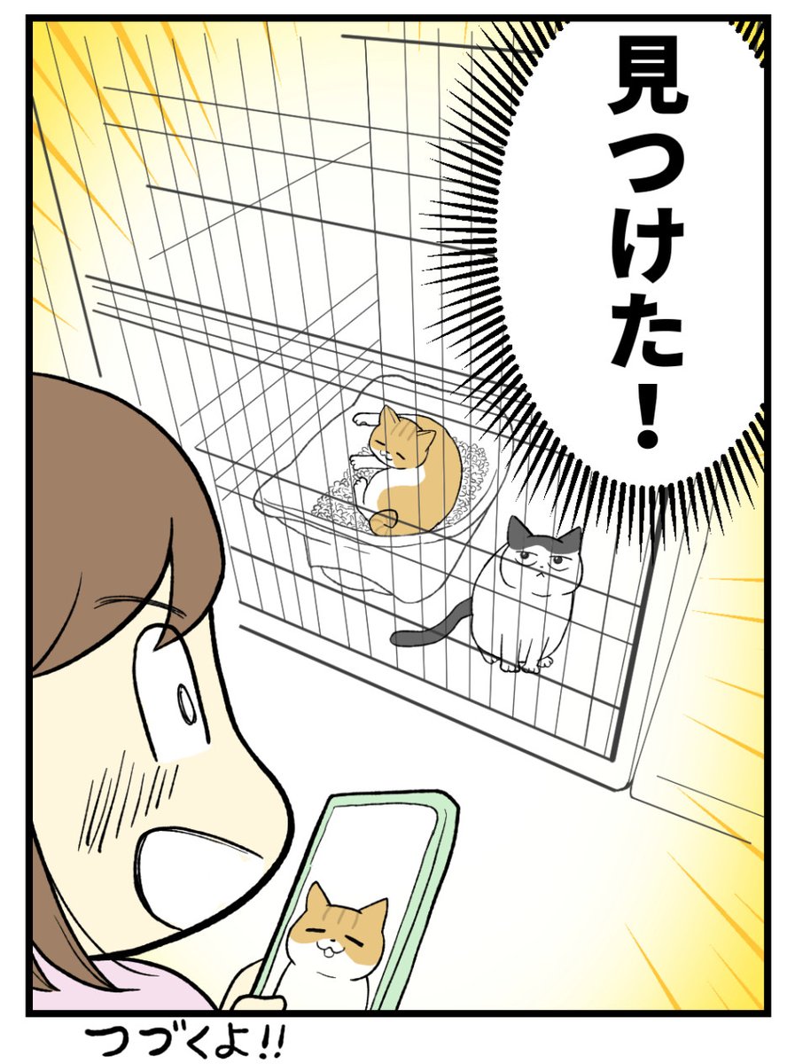 (5/9) 