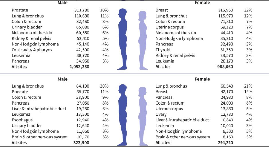 The most quoted paper in Cancer is now published:

Cancer Statistics, 2025

acsjournals.onlinelibrary.wiley.com/doi/full/10.33…