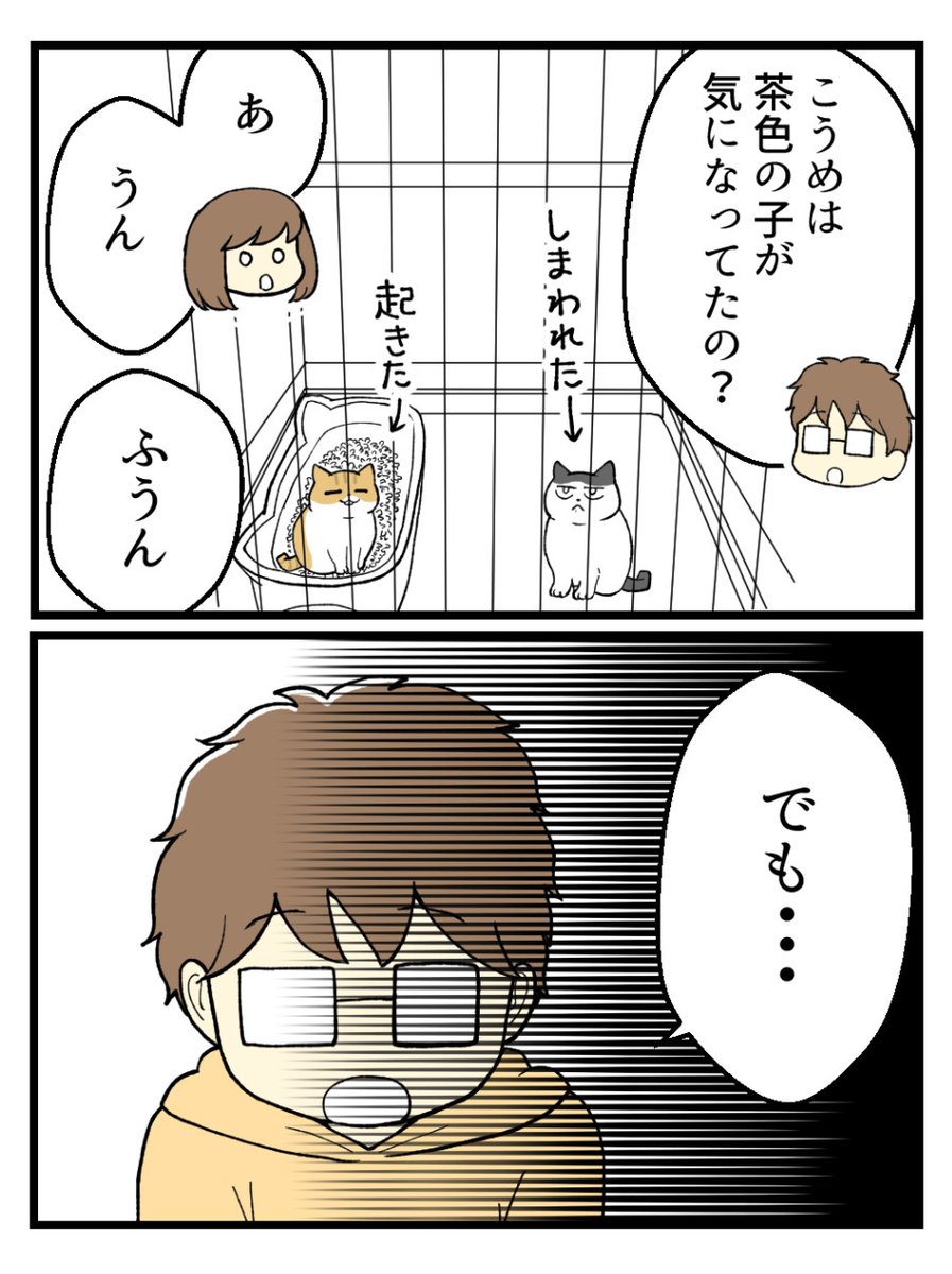 (8/9) 