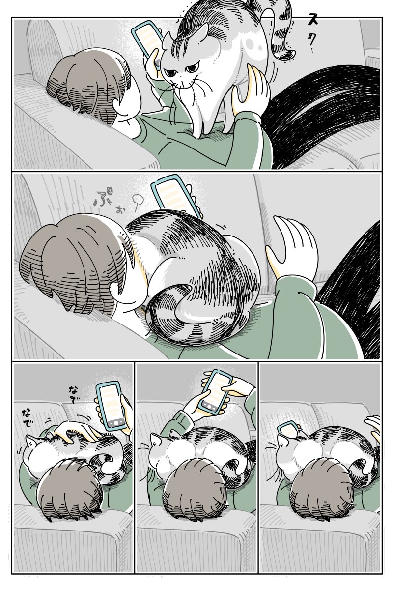 キュルZ tweet media