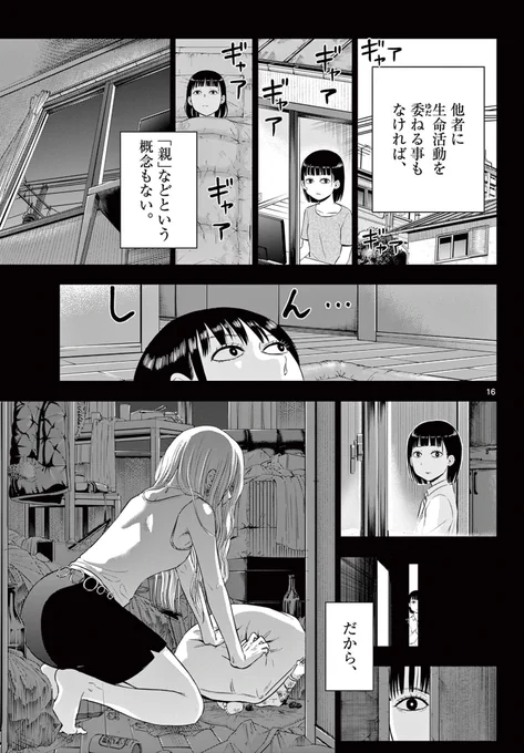 (13) 