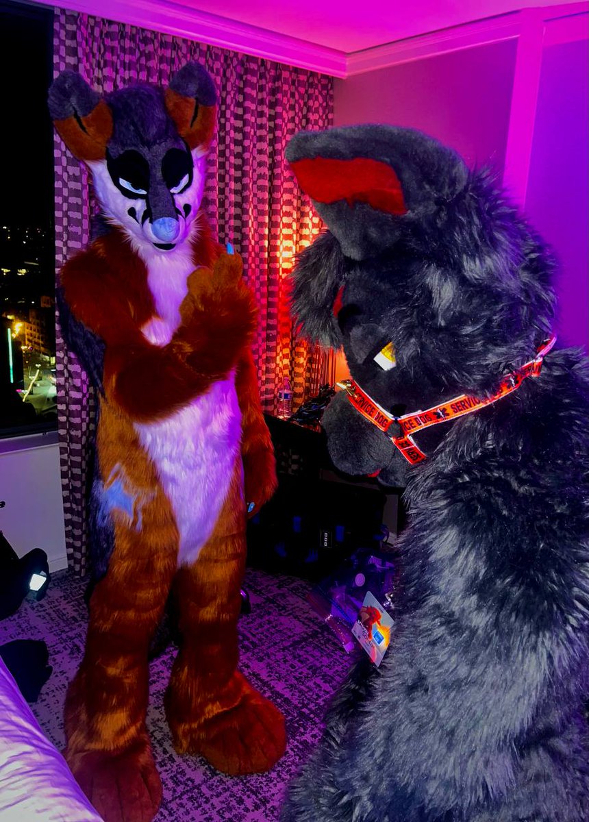 SolitarTheWolf's tweet photo. Damn... 

#FC2025 #FC25 #FurCon25 #FurCon2025 #FurtherConfusion https://t.co/VG8OiuSbak