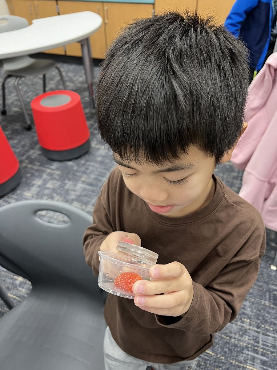 Kristy Michel tweet media