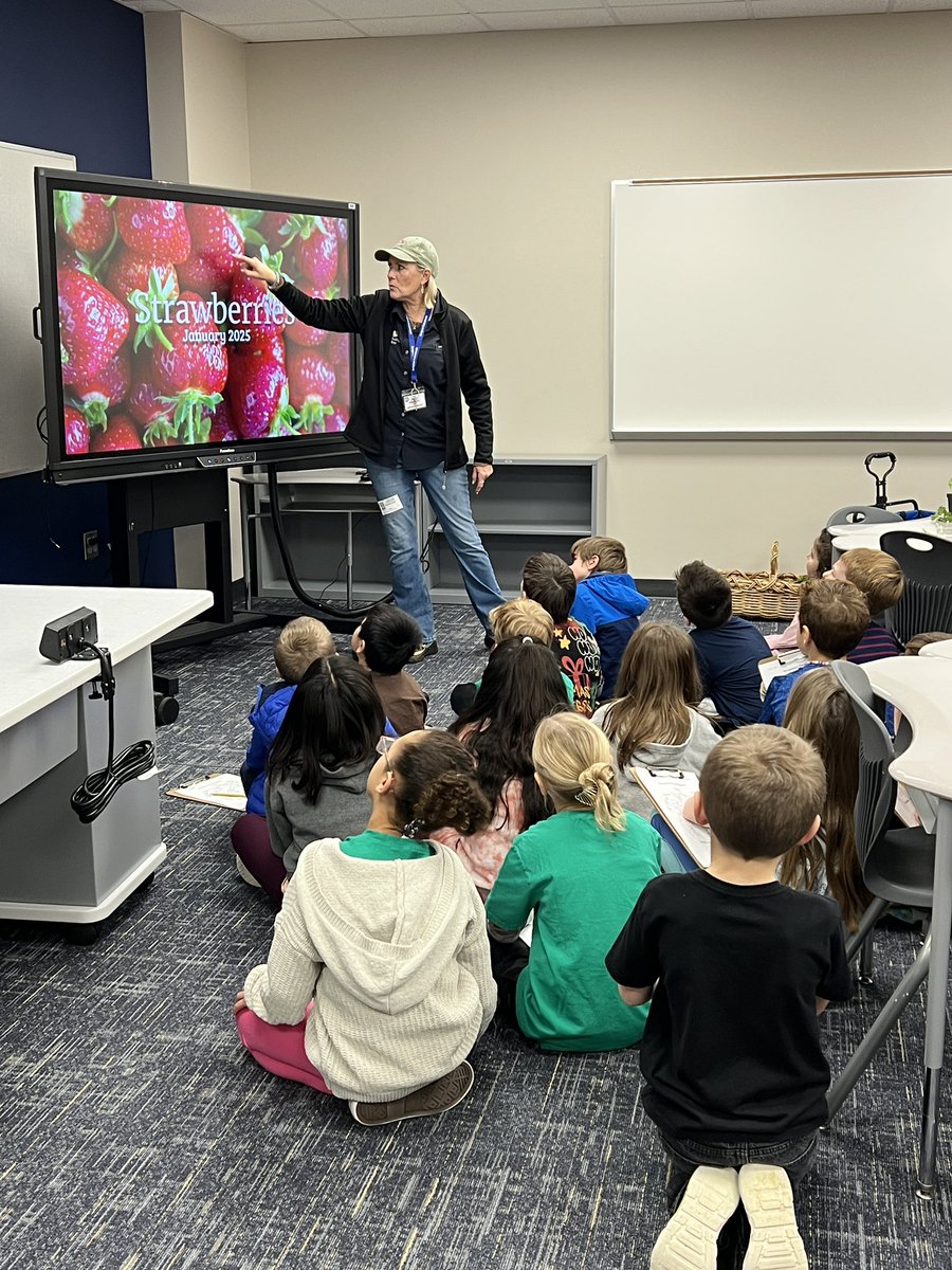 Kristy Michel tweet media