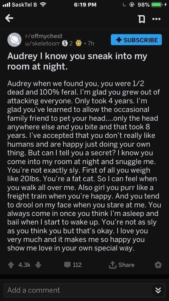 equine__dentist's tweet photo. why are my eyes leaking right now https://t.co/FvG0fNXCM6
