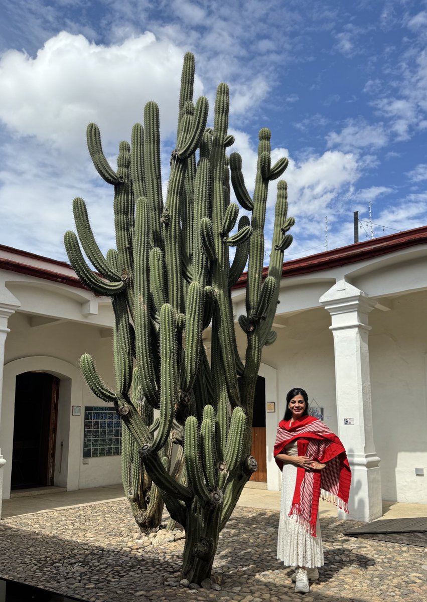 Oaxaca, Museo de la Filatelia #momentosaura 👩🏻‍🍳🇲🇽❤️
