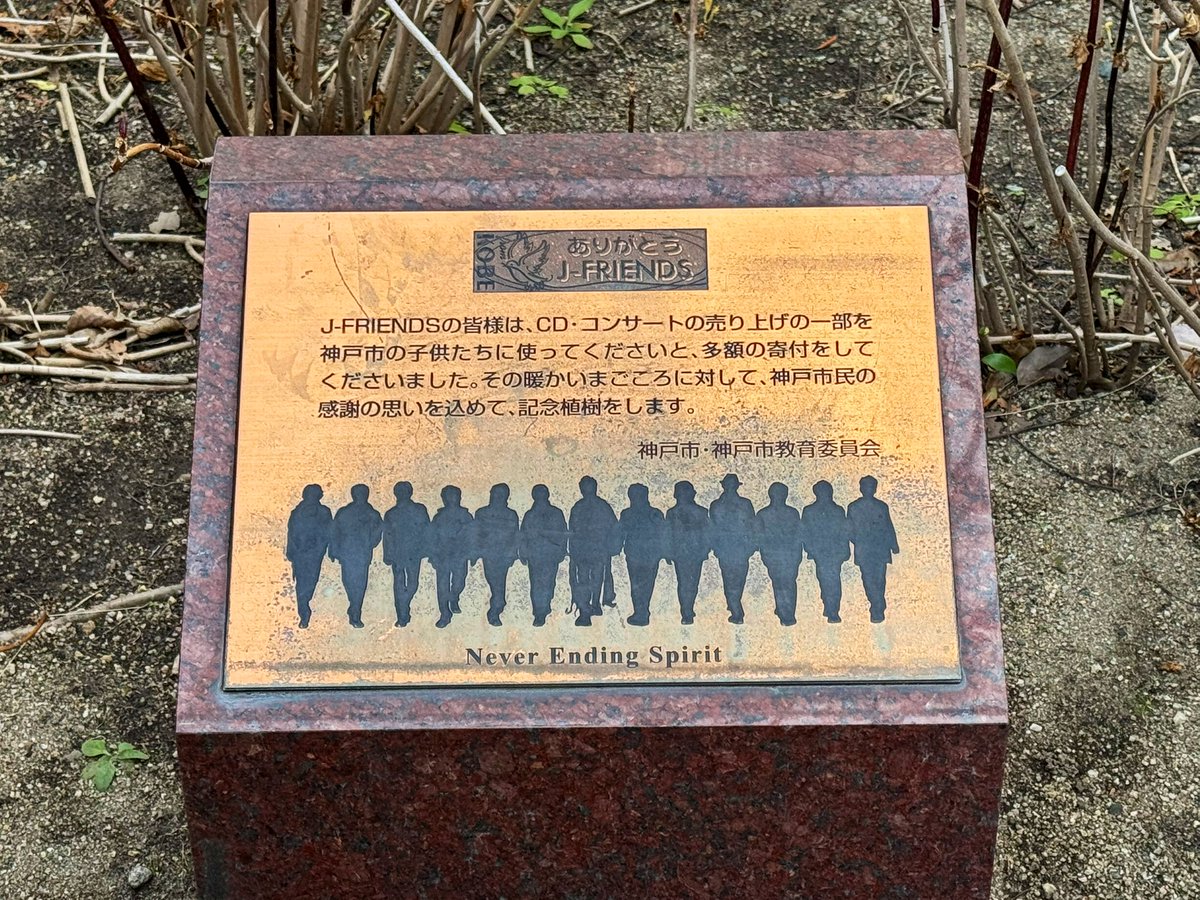 kimi_wo_miagete's tweet image. 阪神淡路大震災から30年。J-FRIENDSの活動に、被災者の1人として、今日も背中を押してもらって生きています。今日の記念樹を、神戸より愛を込めて。J-FRIENDSと、彼等のファンに届きますように🌳
@tokioinc_2021 @KinKiKids_721 @20thCentury_SIN @GoMorita_JP @kenmiyake_idol @J_OKADA_AISTON