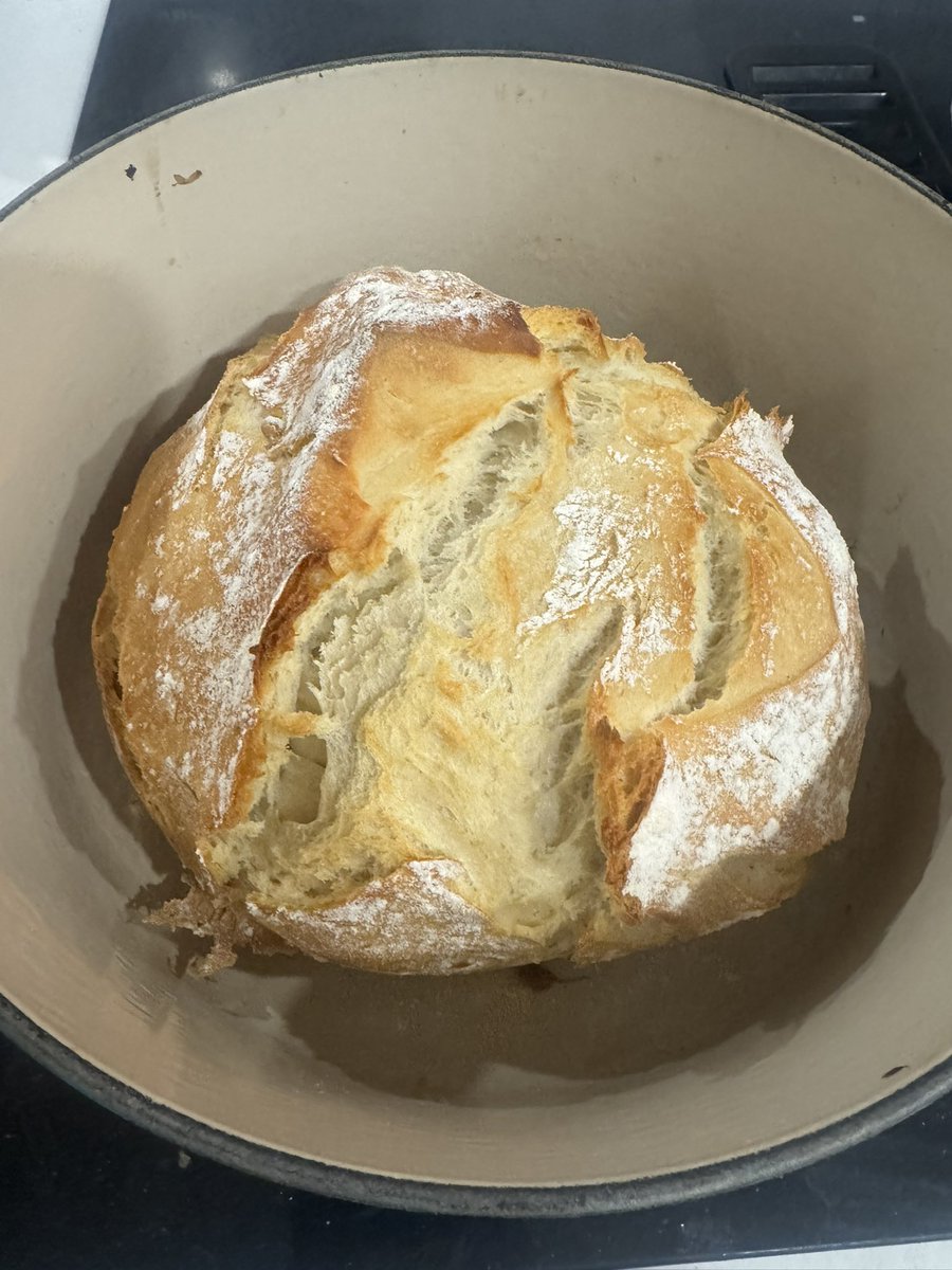 Aaron Scholer tweet media