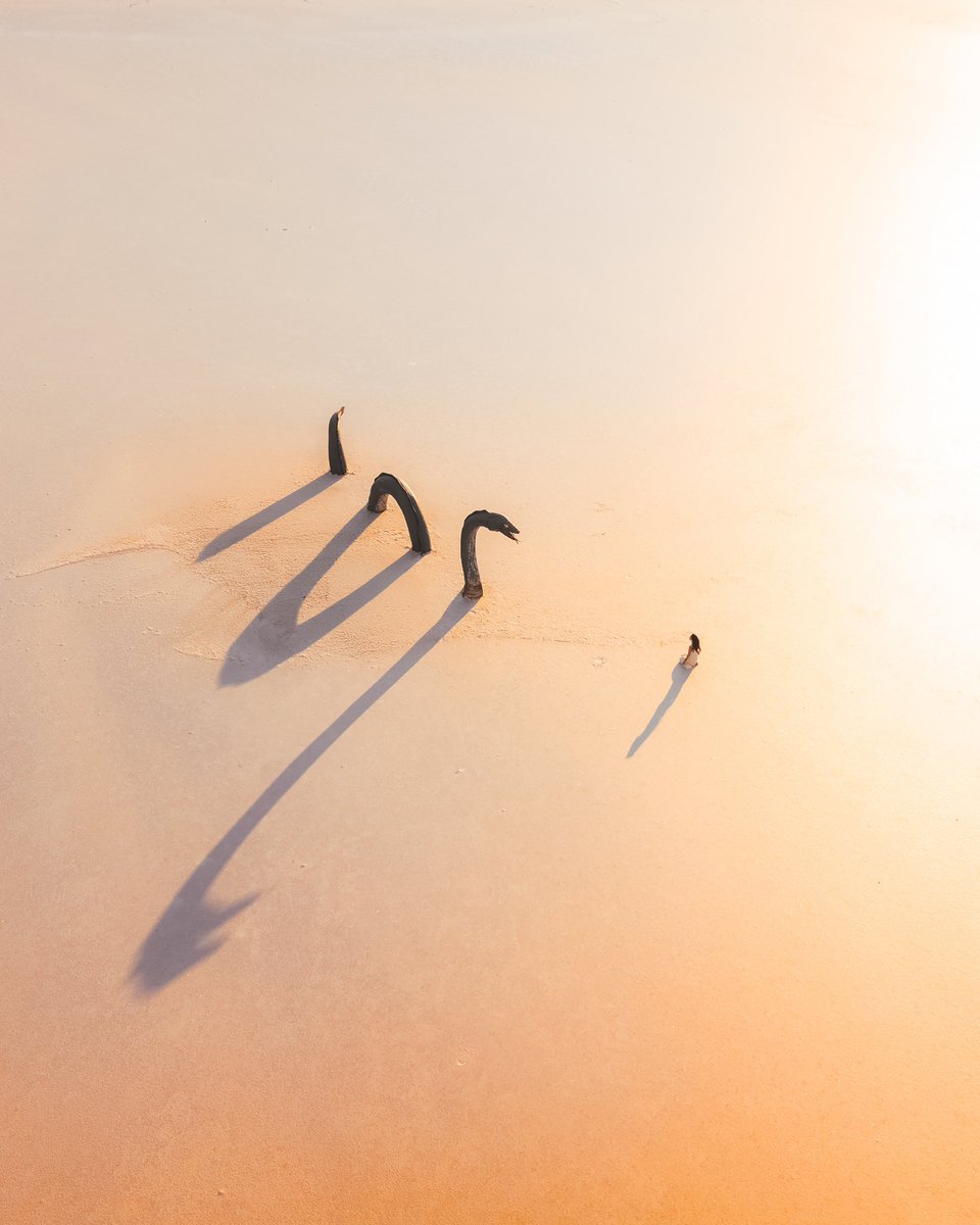 Photography is art. Gm!