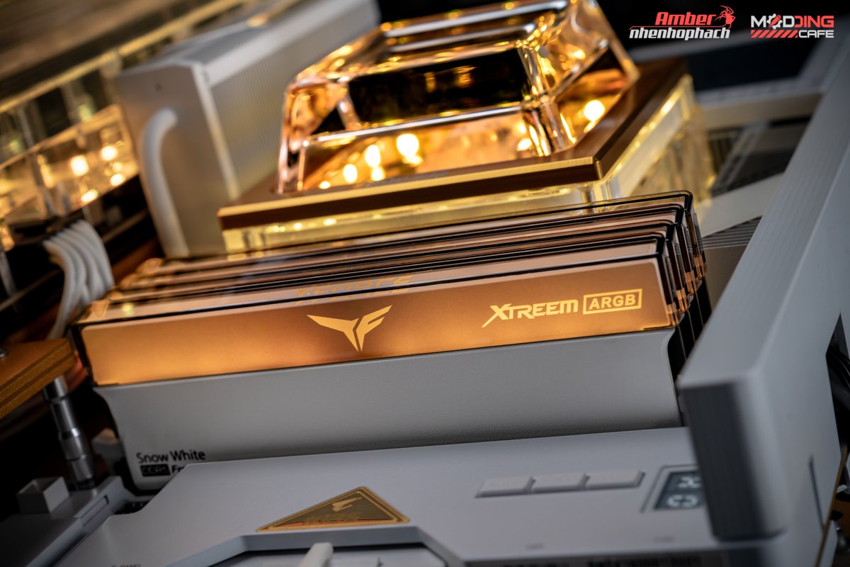 AORUS