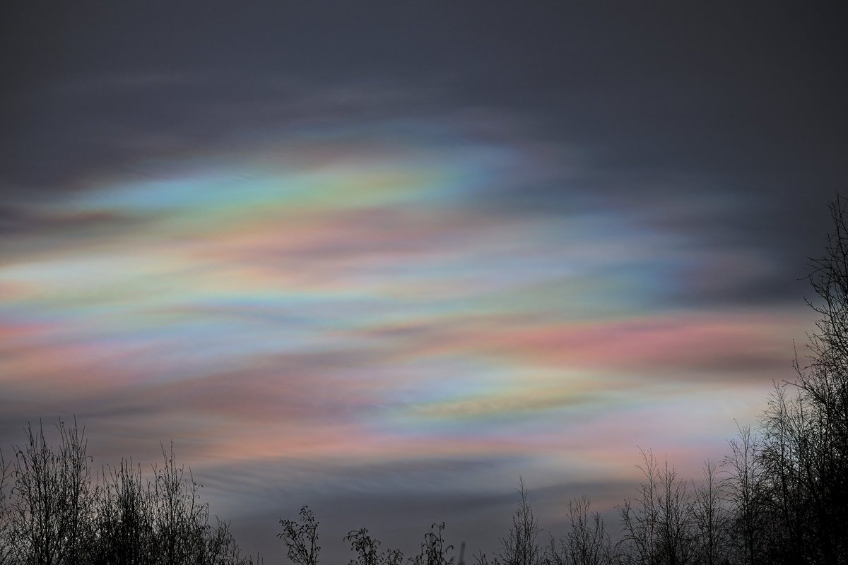 Markku Heikkinen tweet media