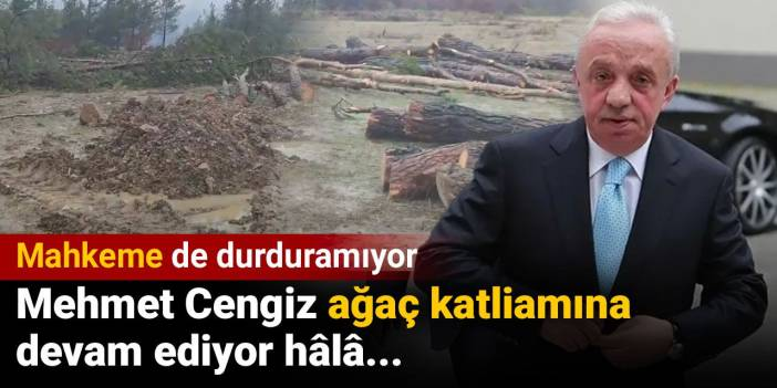 Kazdağları’nda 80 gündür kestiği ağaç sayısı milyonu aşan Mehmet Cengiz’in iş makineleri, mahkeme kararına rağmen çalışıyor

halktv.com.tr/gundem/mahkeme…