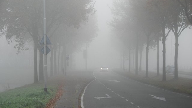 Opnieuw plaatselijk dichte mist, code geel in Brabant -  internetbode.nl/zundert/l/4377…