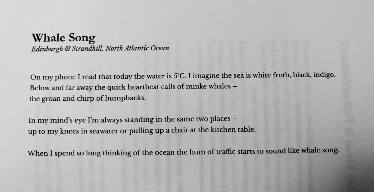 Nora Jaber - نورة جابر (@noratjaber) on Twitter photo Starting my day with beautiful, calming, and introspective poetry from <a href="/roshnigallagher/">Roshni Gallagher</a>’s Bird Cherry collection Starting my day with beautiful, calming, and introspective poetry from <a href="/roshnigallagher/">Roshni Gallagher</a>’s Bird Cherry collection