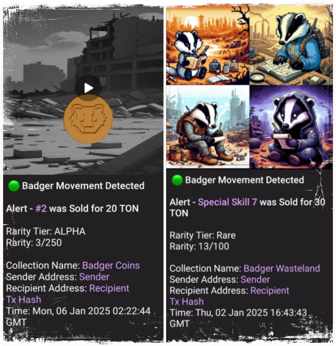 🟢 NFT Notification Bot v2.2 is live featuring sleek new optimized code, a lighter API call load, and backend recall function! We're currently stress testing the system and it's working flawlessly. 👌

We need your help, Wasteland! Help us stress test the bot by listing,