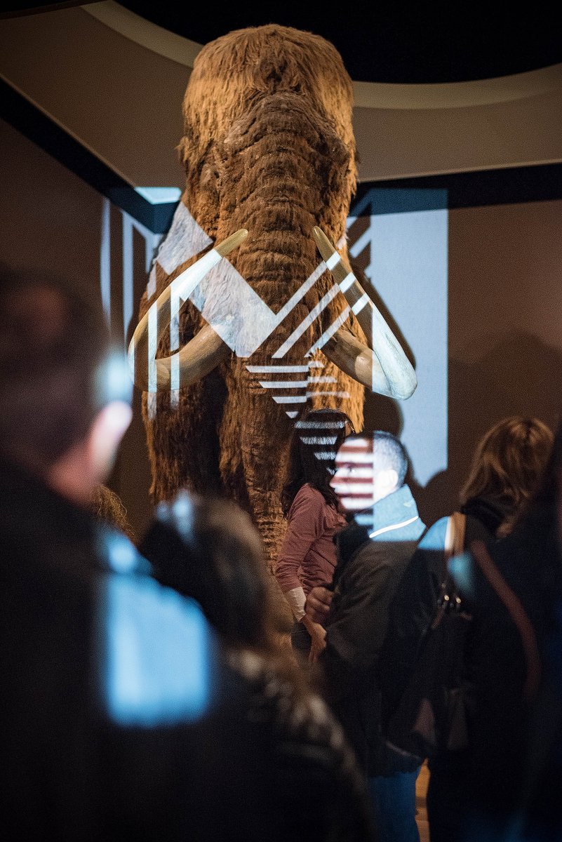 Museen Basel tweet media