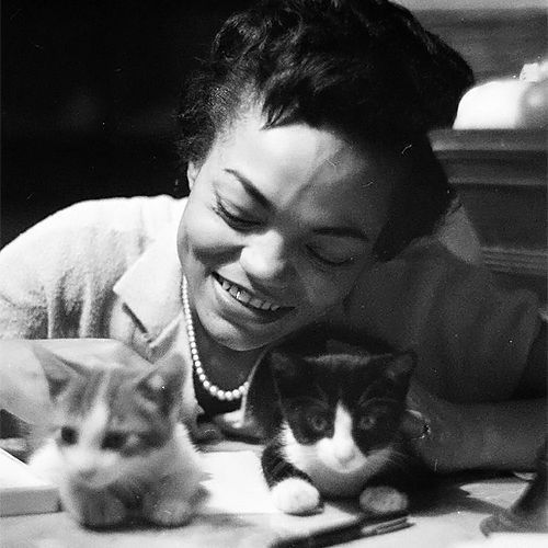 "A cat is a cat. She has no race, creed or collar."

🎂 Happy Birthday to cat-lover Eartha Kitt - born on this day in 1927. 

#CatLovers #AnimalWelfare