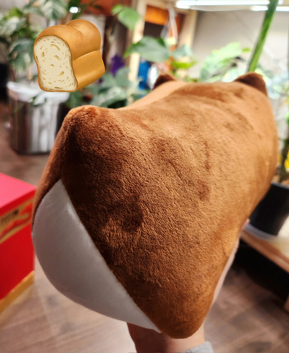 해외 독자분께서 (엄청나고) 깜찍한 선물을 보내주셨습니다! 특산 술이라 하셨는데 박스에 그려진 캐릭터 모양 그대로였고 매끈해서 묘하게 배를 문질쓰담하게 되었어요. 😂🫳 함께 온 건 만드신 뚱개인형이라는데.. 🥹🥹
갓 나온 식빵 같은 뽕실한 모습입니다.. 너무 귀여워요.. 감사합니다!!🙇‍♂️🍞