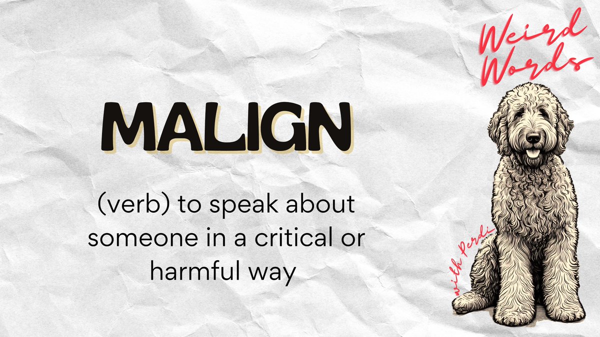 Weird Words with Perdi! Perdi the Library Dog has chosen some of her favourite words. This week the word is: MALIGN - Can you use it to make yourself sound proper brainy? #shorehamreads #wordshavepower #weirdwordswithperdi