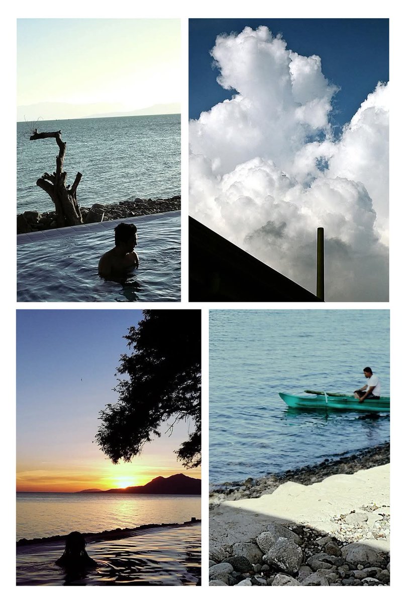 focc_x NO | RDG tweet media