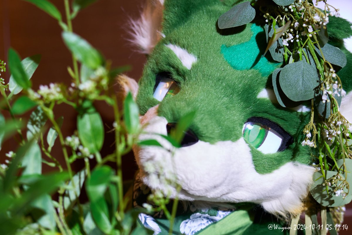 【XXXVII.酒】

從小就被教育，喝酒是不好的，加上我本來也不怎麽喜歡酒的味道，至今我都不會主動喝酒。很長一段時間内，我總有這樣的信念——我不喝酒，我很乖，我是好孩子。

📸:<a href="/MituLittle/">乌云</a>
#FursuitFriday