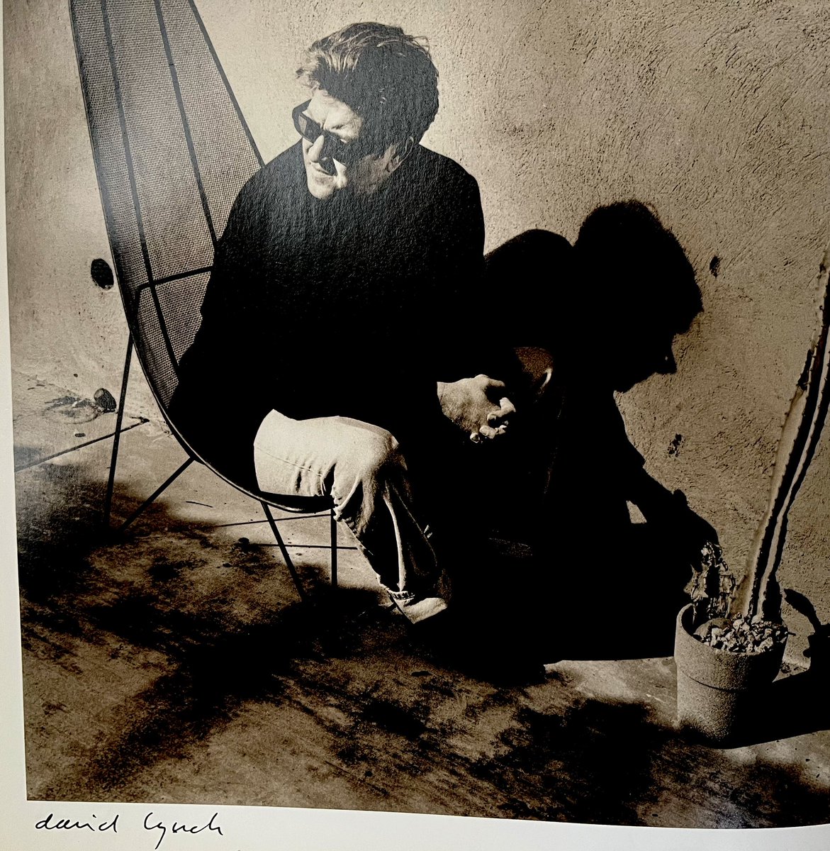 2025. Oz burns and the wizard is dead.
#lafires #davidlynch