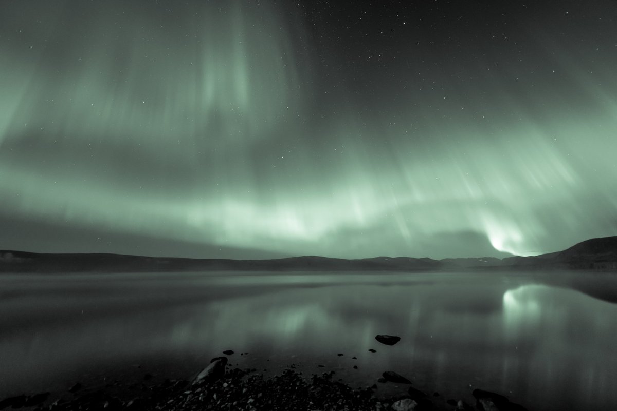 AngryTheInch's tweet image. Friends.
These are lots of my all-time favorite images. I&apos;m letting them go, frankly out of desperation. 
You can download them all and make prints or use as backgrounds on your devices. 

Pay whatever you think they&apos;re worth ❤️ 
buymeacoffee.com/angrytheinch 

drive.google.com/drive/folders/…