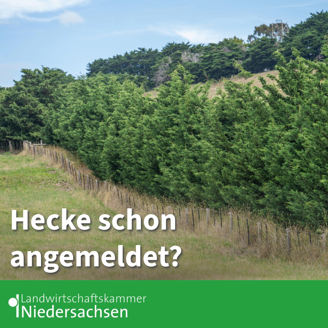 Über ein Projekt der #Bingo Umweltstiftung können #Landwirte, #Kommunen und #Verbände sich die Kosten für ihre #Heckenpflegearbeiten erstatten lassen oder sich in der #Heckenpflege schulen lassen: lwkn.de/heckenpflege