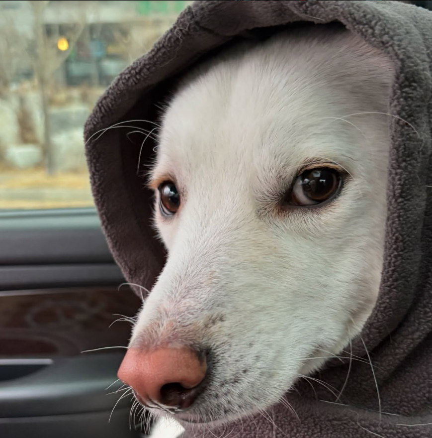 SIGMABOYDOG's tweet photo. Dune 🏜️🌵🦂🐫🏝️ https://t.co/PFkGjMvcxG