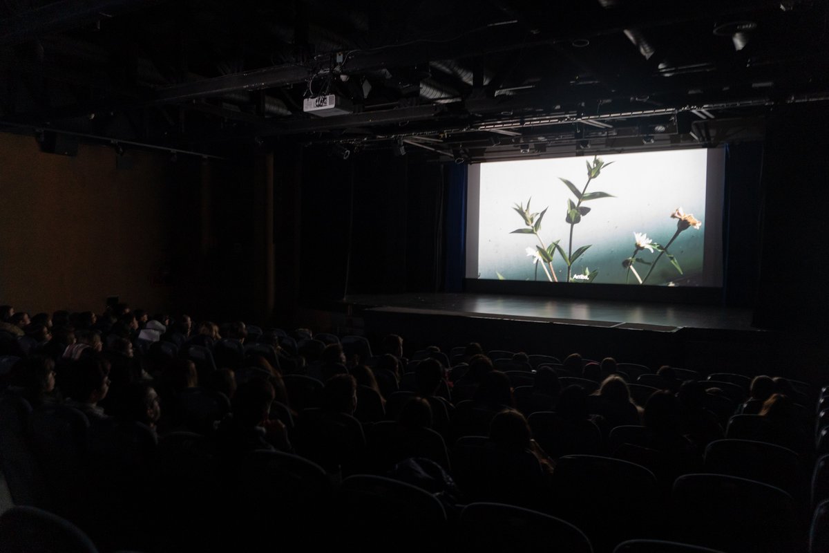 A Bao A Qu (@abaoaqu_) on Twitter photo 📽️ Preciós matí de cinema compartint films documentals al <a href="/IF_Barcelona/">Institut français de Barcelona</a>!
Fascinació per les tries cinematogràfiques, el muntatge, l'emoció dels retrats, i brillants comentaris de grups #cinemaencurs que aviat començaran a concebre les seves pel·lícules!
shorturl.at/BNImj 📽️ Preciós matí de cinema compartint films documentals al <a href="/IF_Barcelona/">Institut français de Barcelona</a>!
Fascinació per les tries cinematogràfiques, el muntatge, l'emoció dels retrats, i brillants comentaris de grups #cinemaencurs que aviat començaran a concebre les seves pel·lícules!
shorturl.at/BNImj