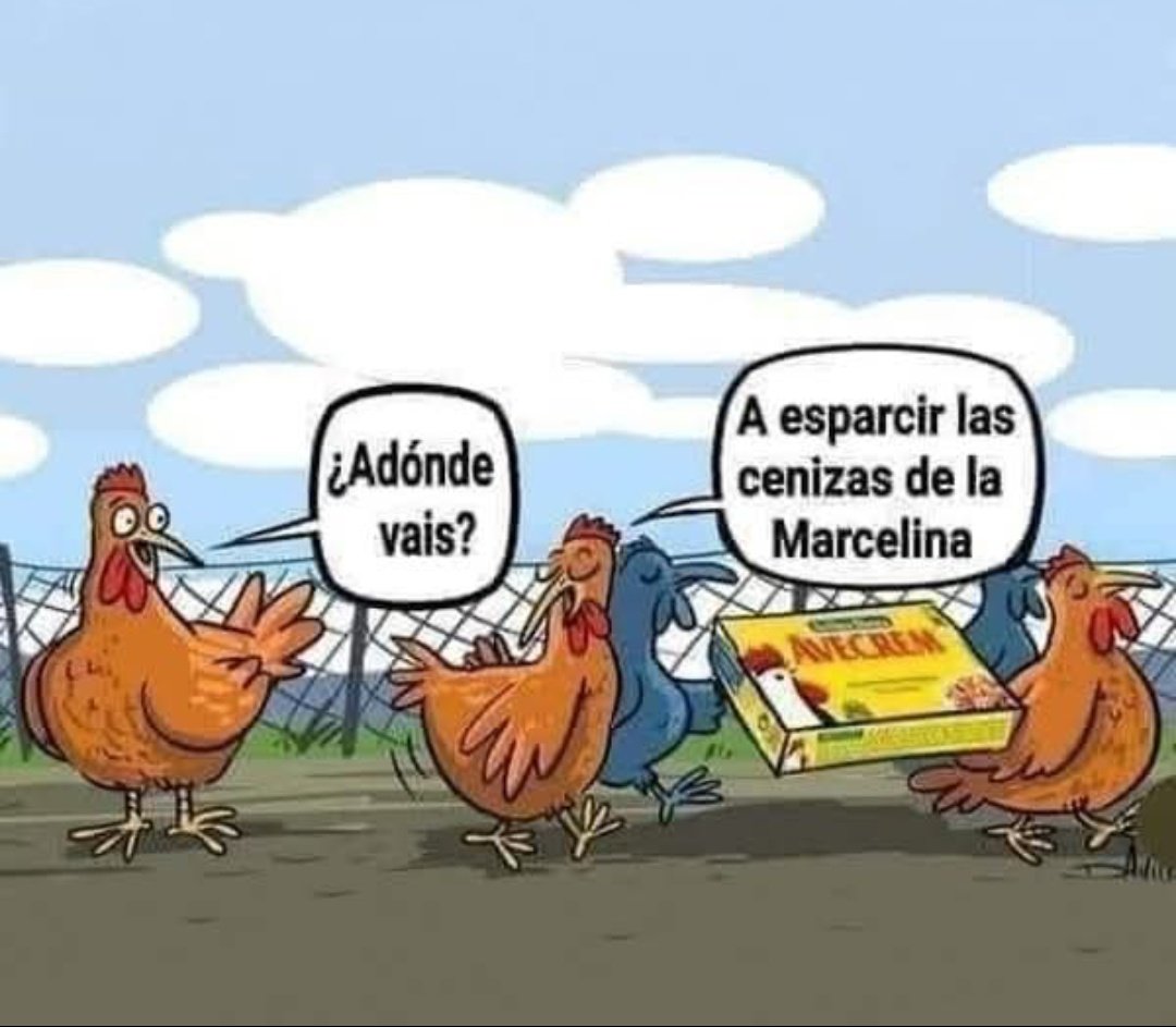 Jajajajajjjjsjsjjsjssjjssjjsjsjjjjjjsaaaaaaaaajjjaaaaaaaaaaaaasaaaassjjjjjaaaaaa